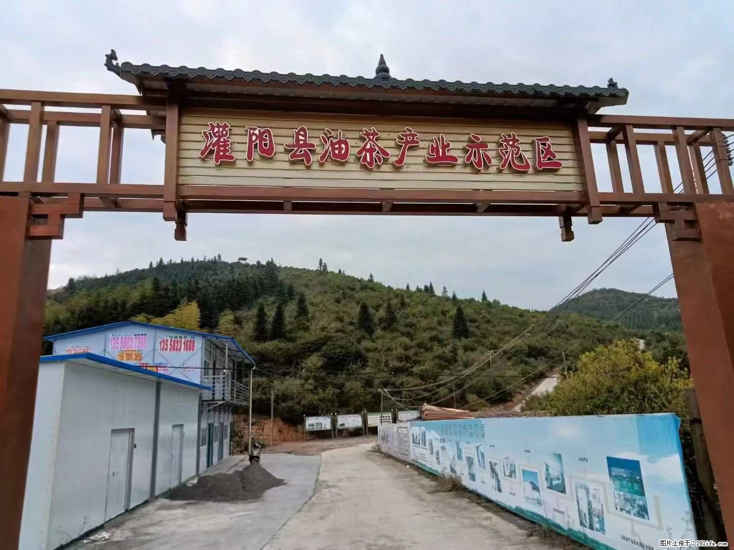 【灌阳县油茶产业示范区】一个有着充实的精神生活的人，对待身外之物自会有一种淡泊的态度 - 美食天地 - 重庆生活社区 - 重庆28生活网 cq.28life.com