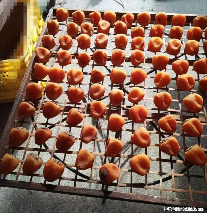 广西桂林平乐桥亭【柿饼之乡】2025年纯手工制作、无任何添加剂的第一批柿饼准备上市了,欢迎联系订购! - 美食天地 - 重庆生活社区 - 重庆28生活网 cq.28life.com