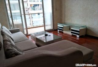江北区 观音桥 324医院背后精装房 首月房租减半 图片真实 - 重庆28生活网 cq.28life.com