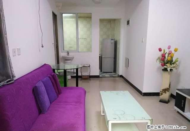 一室一厅 金科世界城 精装修 便宜出租 随时看房 可短租 - 房屋出租 - 房屋租售 - 重庆分类信息 - 重庆28生活网 cq.28life.com