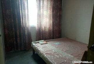 南坪协信对面电梯两室便宜出租家具家电齐全 - 重庆28生活网 cq.28life.com