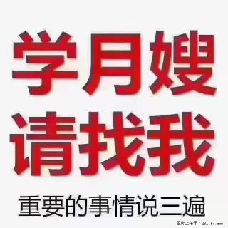 【招聘】月嫂，上海徐汇区 - 重庆28生活网 cq.28life.com