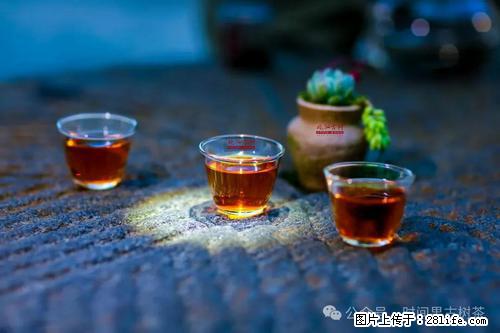 时间果百年古树2025年春红茶 - 购物交流 - 重庆生活社区 - 重庆28生活网 cq.28life.com