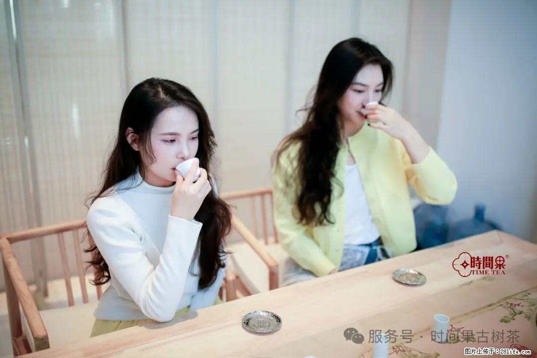 时间果百年古树龙珠普洱生茶 - 购物交流 - 重庆生活社区 - 重庆28生活网 cq.28life.com