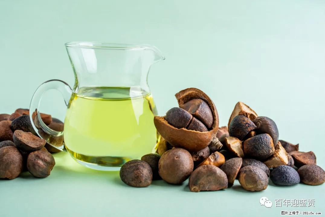 世界没有真相，只有认知，最好的食用油是中国的山茶油！ - 重庆生活资讯 - 重庆28生活网 cq.28life.com