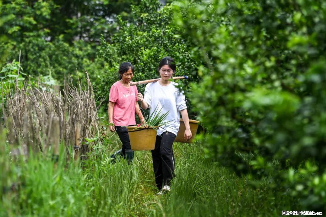 全网追的“扁担女孩”,找了一份暑假工,时薪12元 - 重庆生活资讯 - 重庆28生活网 cq.28life.com