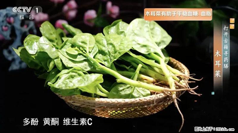 比牛奶补钙还厉害！凉血解毒、稳血糖...这菜冬天必吃，很多人却当草 - 重庆生活资讯 - 重庆28生活网 cq.28life.com