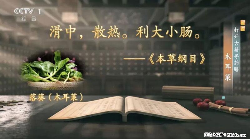 比牛奶补钙还厉害！凉血解毒、稳血糖...这菜冬天必吃，很多人却当草 - 重庆生活资讯 - 重庆28生活网 cq.28life.com