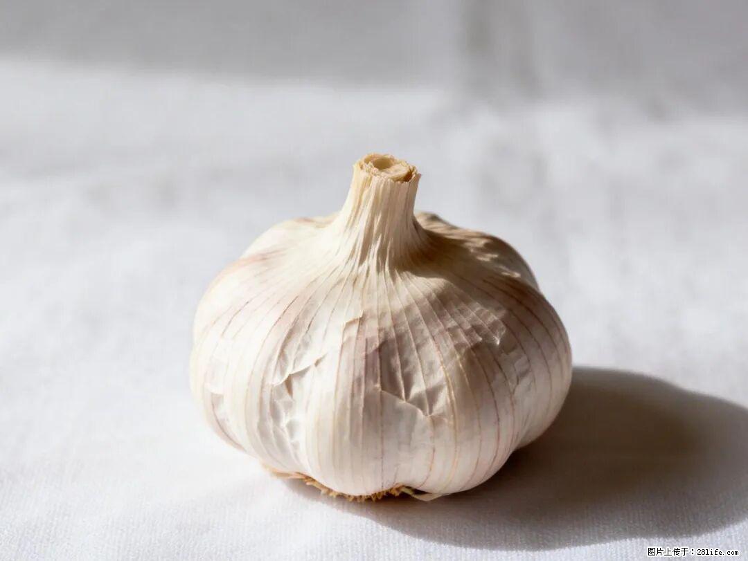 关于大蒜，除了“天然抗生素”，这4个谣言更该警惕! - 重庆生活资讯 - 重庆28生活网 cq.28life.com