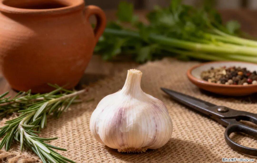 关于大蒜，除了“天然抗生素”，这4个谣言更该警惕! - 重庆生活资讯 - 重庆28生活网 cq.28life.com