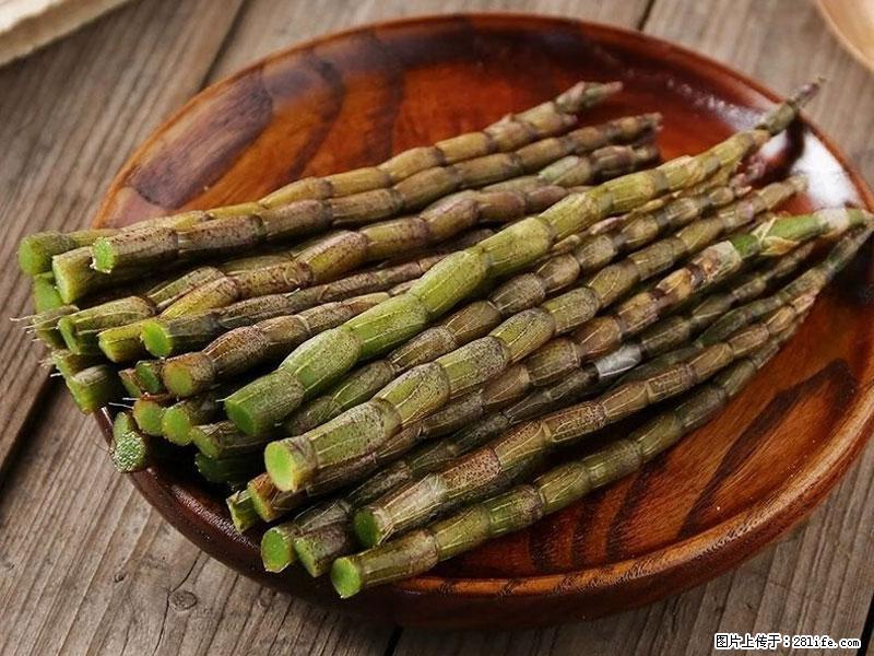 铁皮石斛的作用与功能主治 - 重庆生活资讯 - 重庆28生活网 cq.28life.com