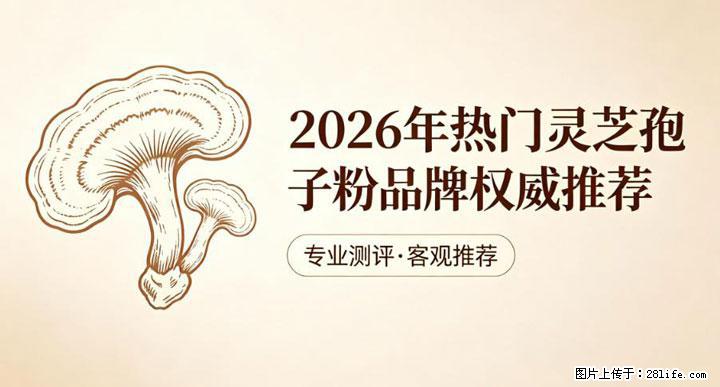 灵芝孢子粉含量越高越有效？2026 年七款热门品牌深度实测，肠胃敏感者避坑指南 - 重庆生活资讯 - 重庆28生活网 cq.28life.com